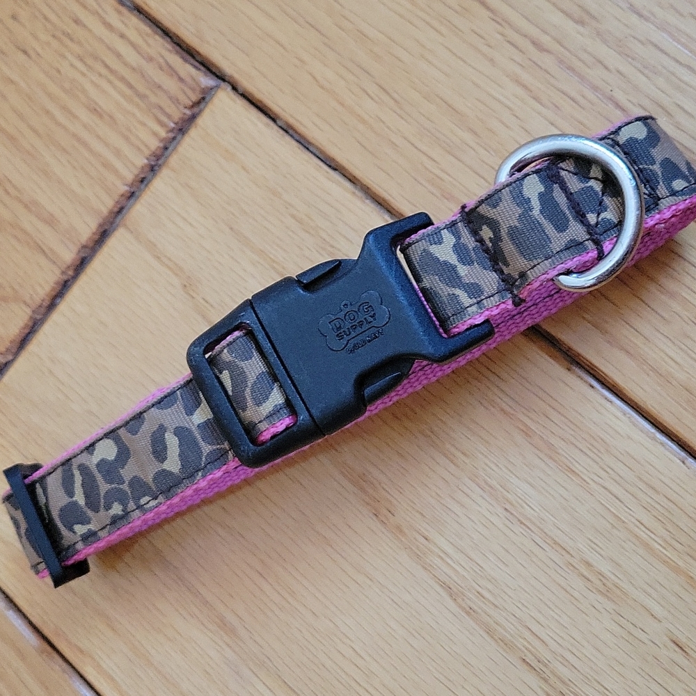 Dog collars, set of 4 - Picture 2 of 7